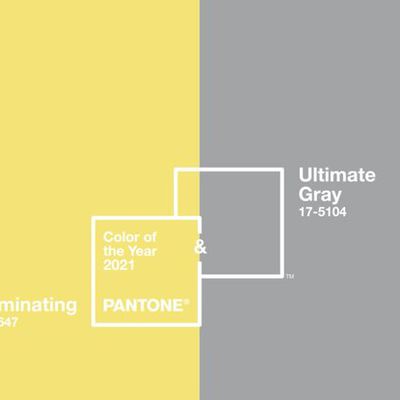 Главные цвета Pantone 2021 для дизайна упаковки